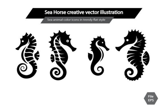 Sea Horse Creative Vector Illustration,S